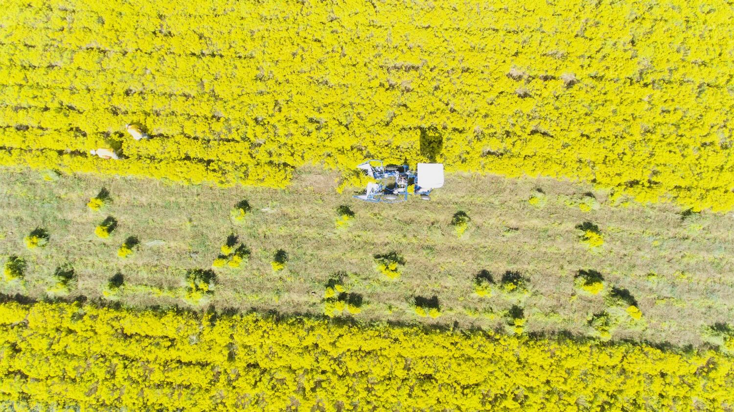 DJI_0053